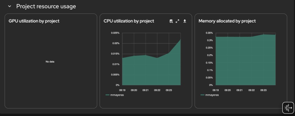 /coo-perses-rhoai/dashboard-project-usage.png